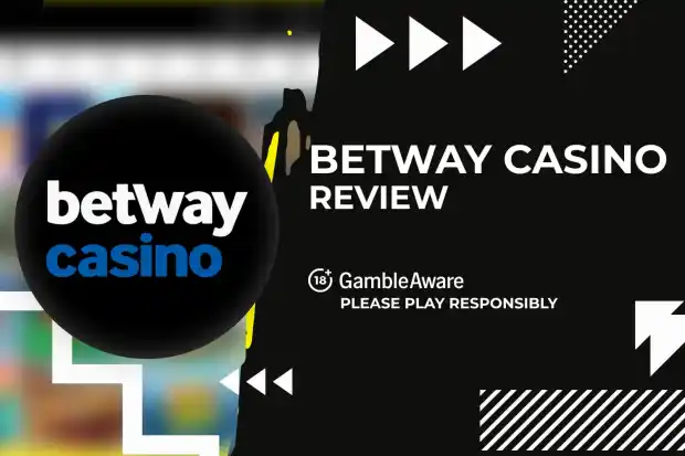 Betway User and Licence Security
