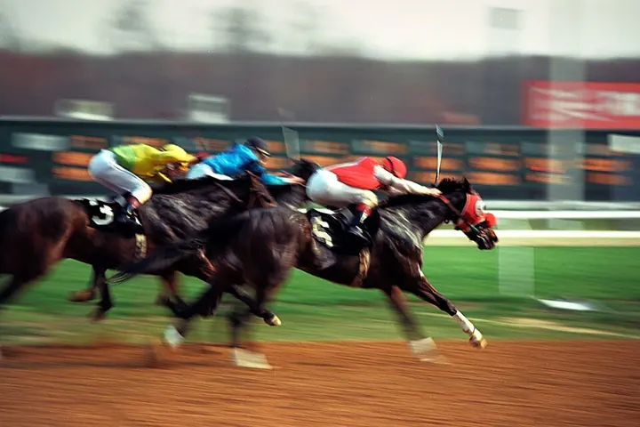 Racehorses at the finish line